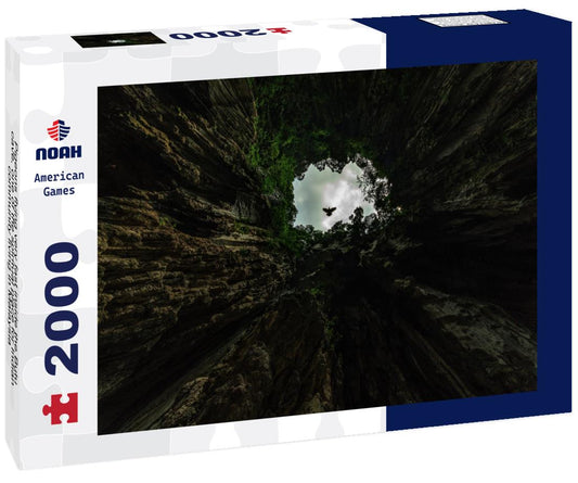 Noah Jigsaw Puzzle Pigeons flying very fast inside the Butu cave, one of the spiritual place for Indian community living in Malaysia 2000 pieces