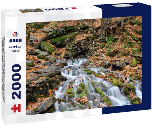 Noah Jigsaw Puzzle Mossy and leaf filled brooks and stream during the autumn and fall colors of Mt Mansfield area near Stowe Vermont 2000 pieces