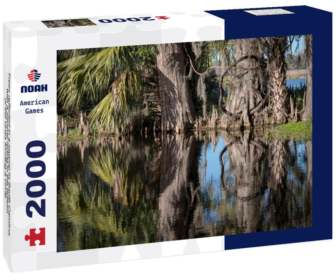 Noah Jigsaw Puzzle Trees reflected in a swamp in South Carolina, with a squirrel hiding in the bottom of the vines forming a circle 2000 pieces