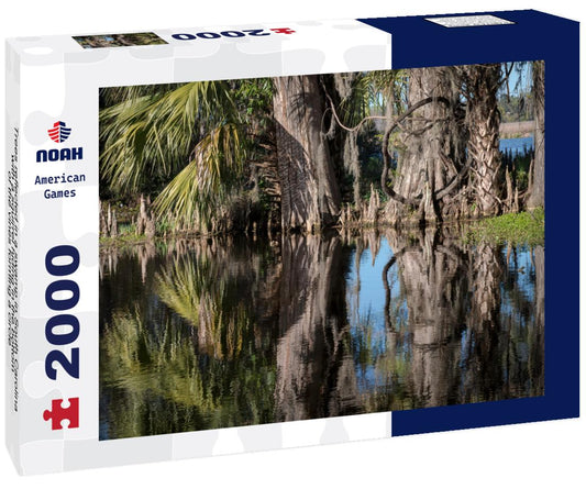 Noah Jigsaw Puzzle Trees reflected in a swamp in South Carolina, with a squirrel hiding in the bottom of the vines forming a circle 2000 pieces