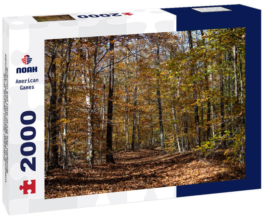 Noah Jigsaw Puzzle autumn trail view at jug bay wetlands sanctuary natural resources area in southern anne arundel county maryland 2000 pieces