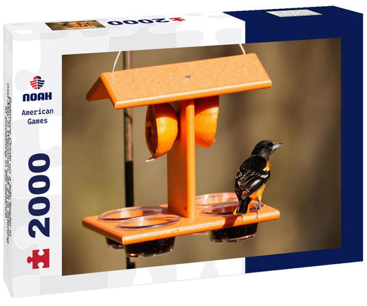 Noah Jigsaw Puzzle Baltimore Oriole on a jelly feeder in mid-May in Wisconsin, as if it is listening to something in the distance 2000 pieces