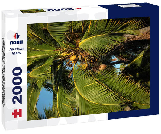 Noah Jigsaw Puzzle Close up of a palm tree and coconuts. Image taken in the Royal Kamehameha Coconut Palm Grove, Molokai, Hawaii 2000 pieces
