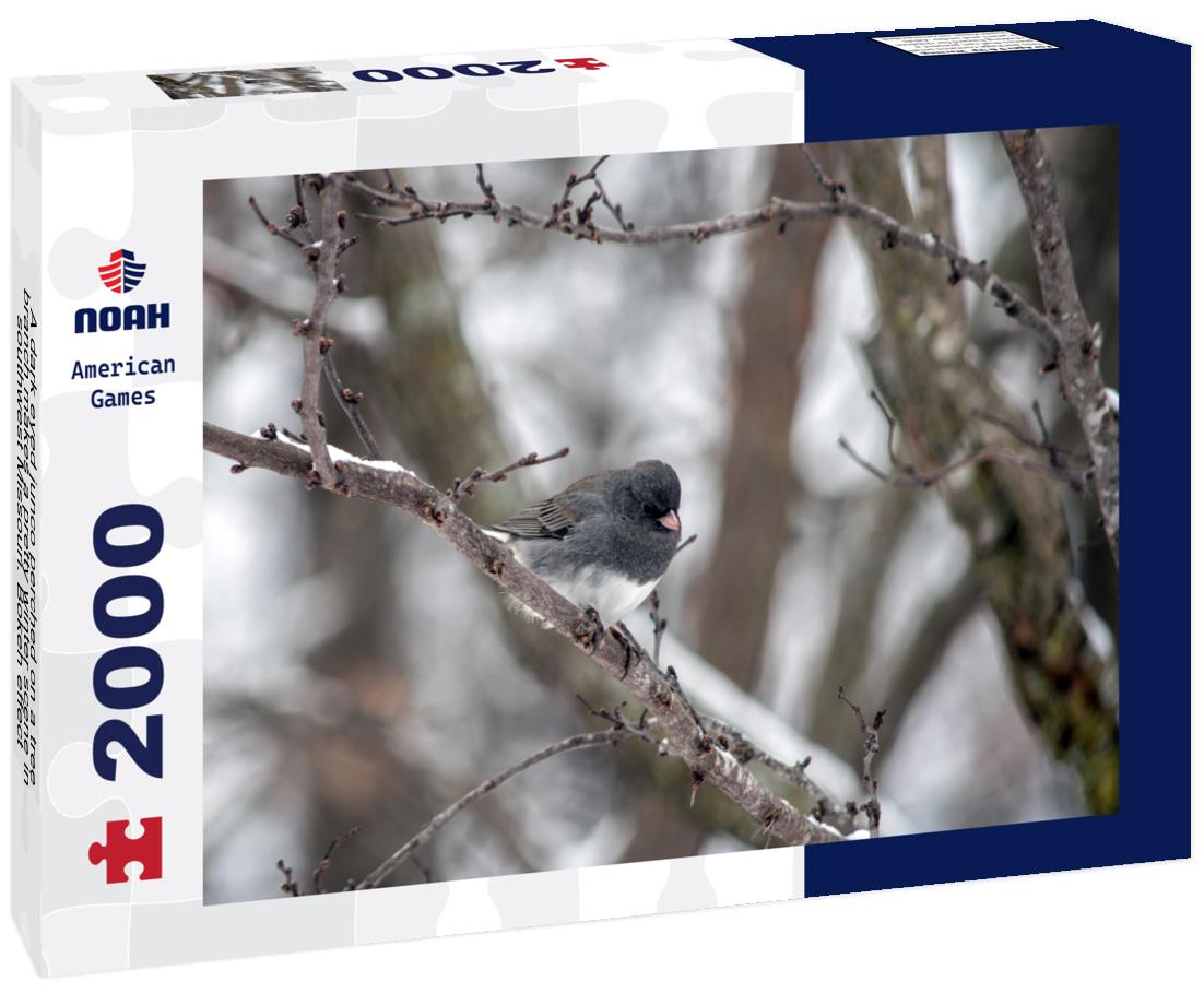 Noah Jigsaw Puzzle A dark eyed junco perched on a tree branch makes a pretty winter scene in southwest Missouri. Bokeh effect 2000 pieces