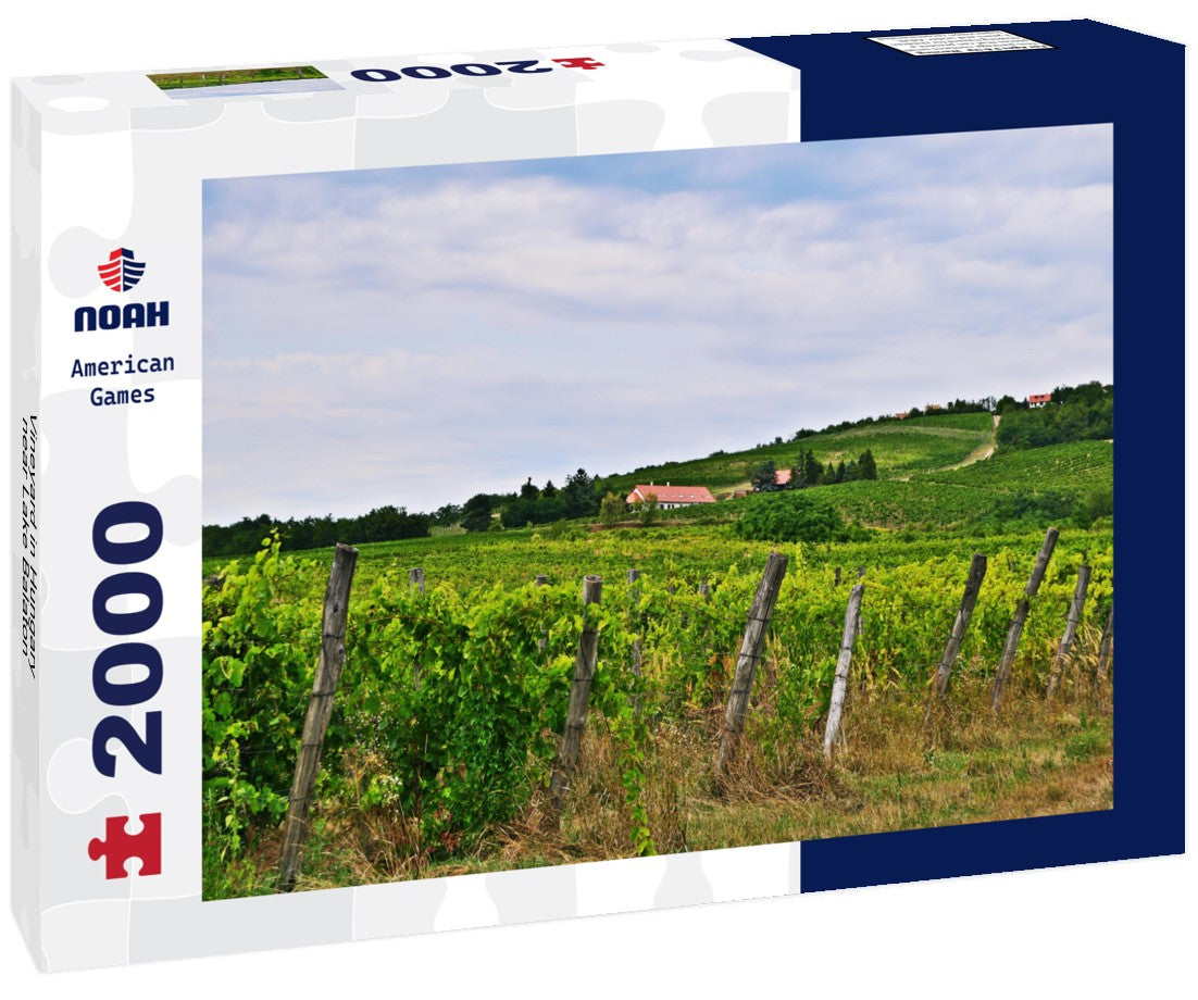 Noah Jigsaw Puzzle Vineyard in Hungary near Lake Balaton 2000 Pieces