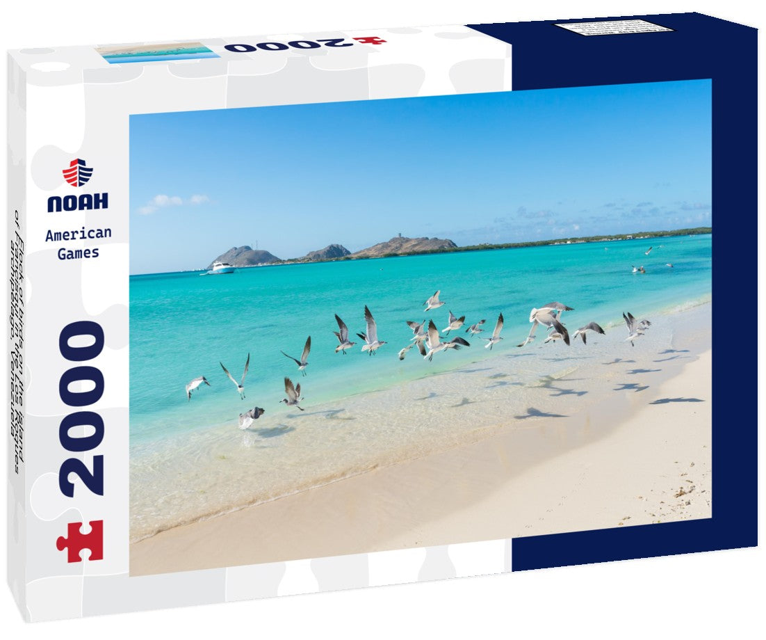 Noah Jigsaw Puzzle Flock of birds on the island of Francisqui in the Los Roques archipelago, Venezuela 2000 Pieces