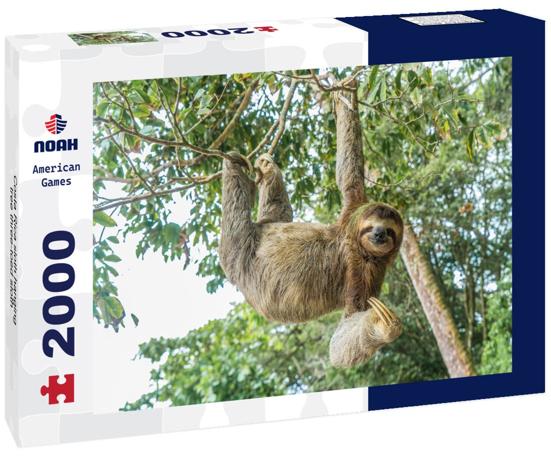 Noah Jigsaw Puzzle Costa Rica sloth hanging tree three-toed sloth 2000 Pieces