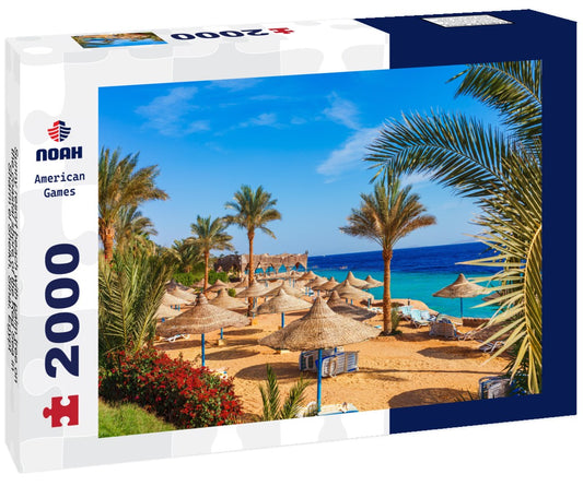 Noah Jigsaw Puzzle Sunny resort beach with palm tree on the coastal shore of the Red Sea in Sharm el Sheikh, Sinai, Egypt, Asia in summer hot. Bright sunny light 2000 Pieces