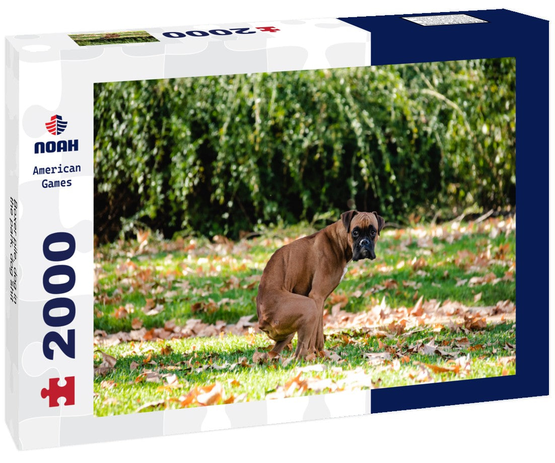 Noah Jigsaw Puzzle Boxer pile, dog in the park, dog shit 2000 Pieces
