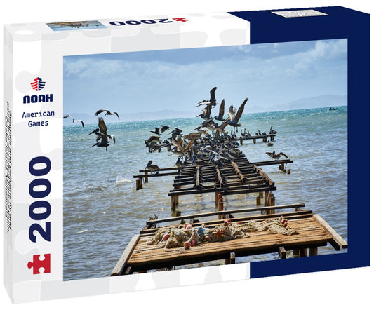 Noah Jigsaw Puzzle Seagulls and pelicans fly and pose in a deserted harbor basin. Coche Island. Venezuela 2000 Pieces