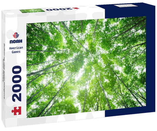 Noah Jigsaw Puzzle Bottom-up view green mangrove forest canopy 2000 pieces