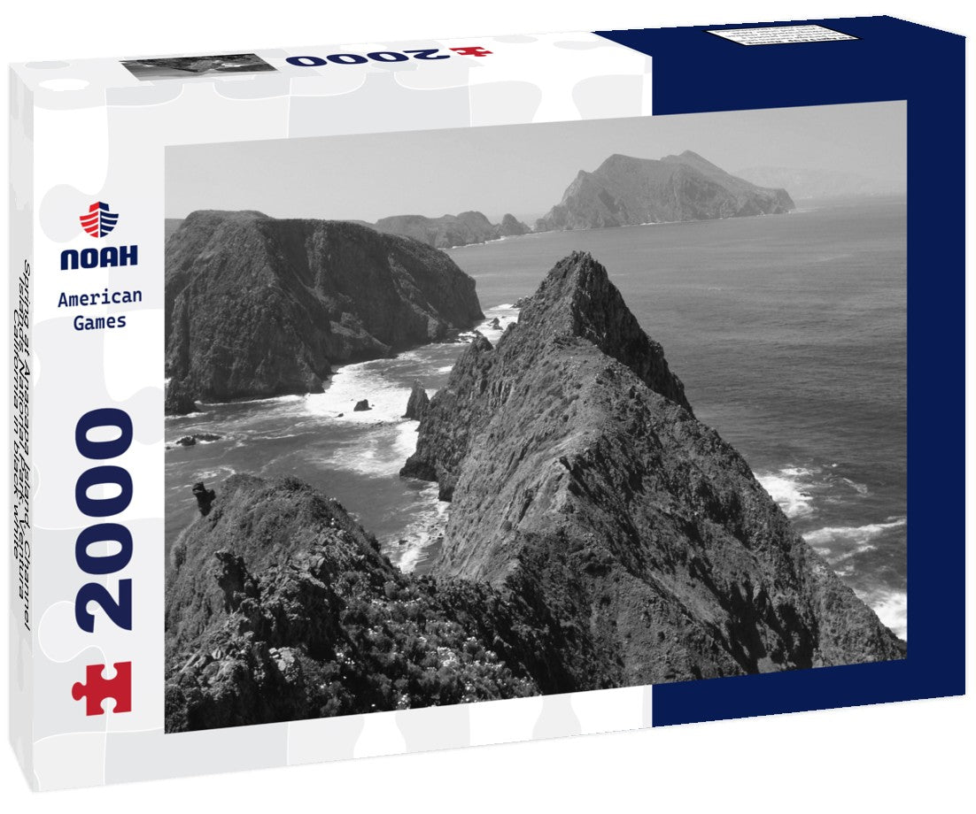 Noah Jigsaw Puzzle Spring at Anacapa Island, Channel Islands National Park, Ventura, California in black white 2000 pieces