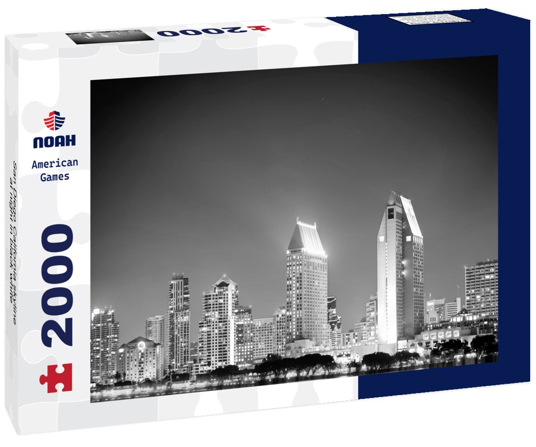 Noah Jigsaw Puzzle San Diego California skyline at night in black white 2000 pieces