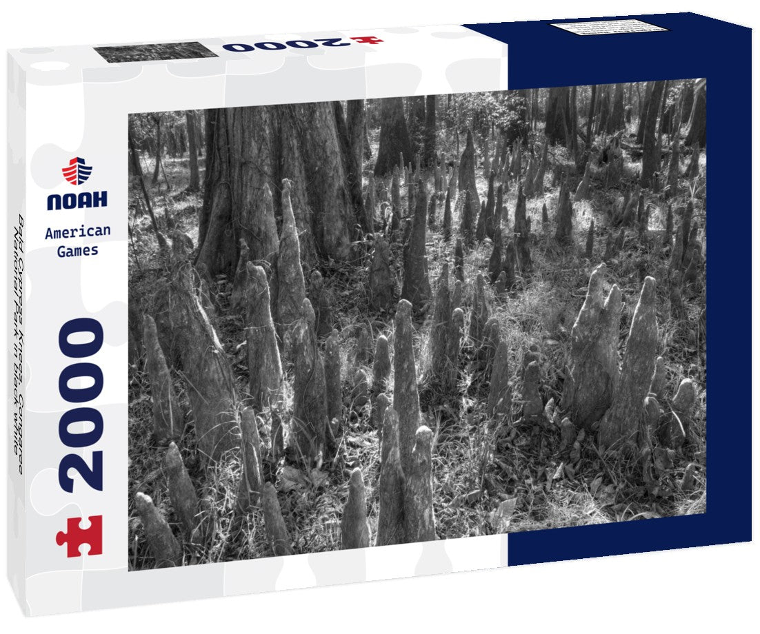 Noah Jigsaw Puzzle Bald Cypress Knees, Congaree National Park in black white 2000 pieces