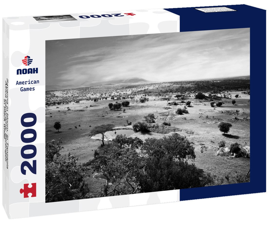 Noah Jigsaw Puzzle Savanna in bloom, in Tanzania, Africa panorama. Serengeti in black white 2000 pieces