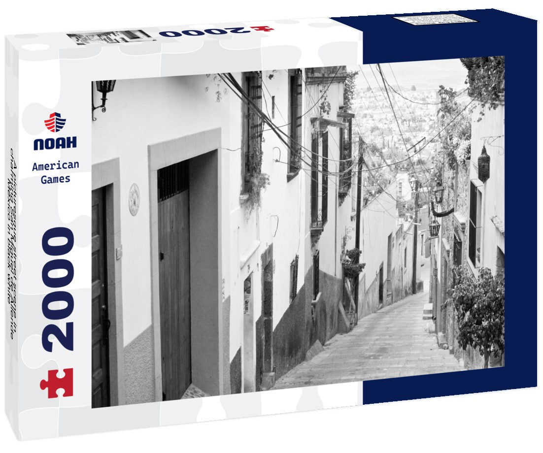 Noah Jigsaw Puzzle A picturesque street scene in charming San Miguel de Allende, Mexico in black white 2000 pieces