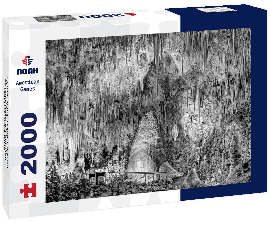 Noah Jigsaw Puzzle Crystal Spring Dome, Carlsbad Caverns National Park, New Mexico in black white 2000 pieces