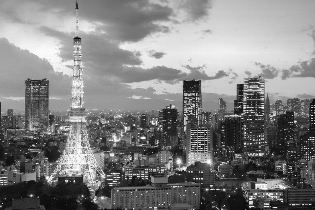 Noah Jigsaw Puzzle Tokyo Tower in Tokyo, Japan at dusk in black white 2000 pieces