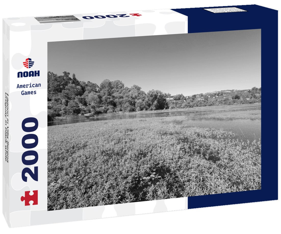 Noah Jigsaw Puzzle Lagoon in Villa Serena, Uruguay in black white 2000 pieces