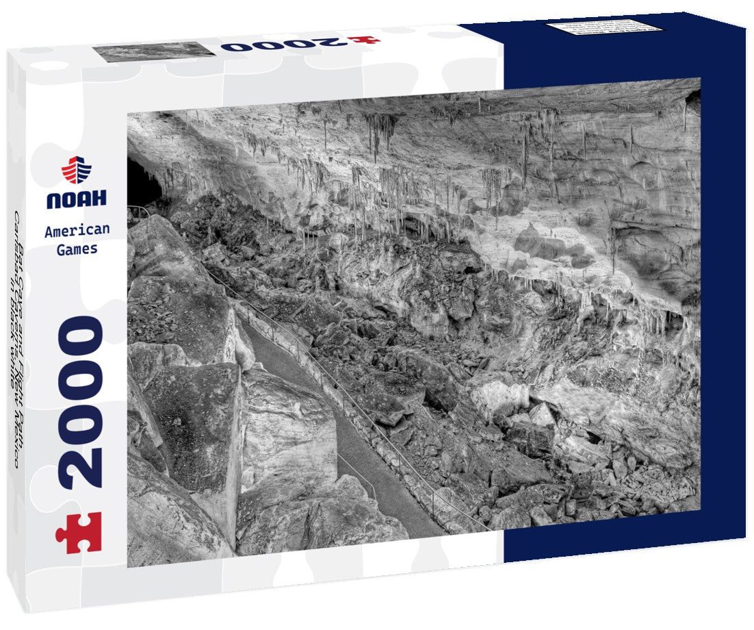 Noah Jigsaw Puzzle Bat Cave and Flight Path, Carlsbad Caverns, New Mexico in black white 2000 pieces