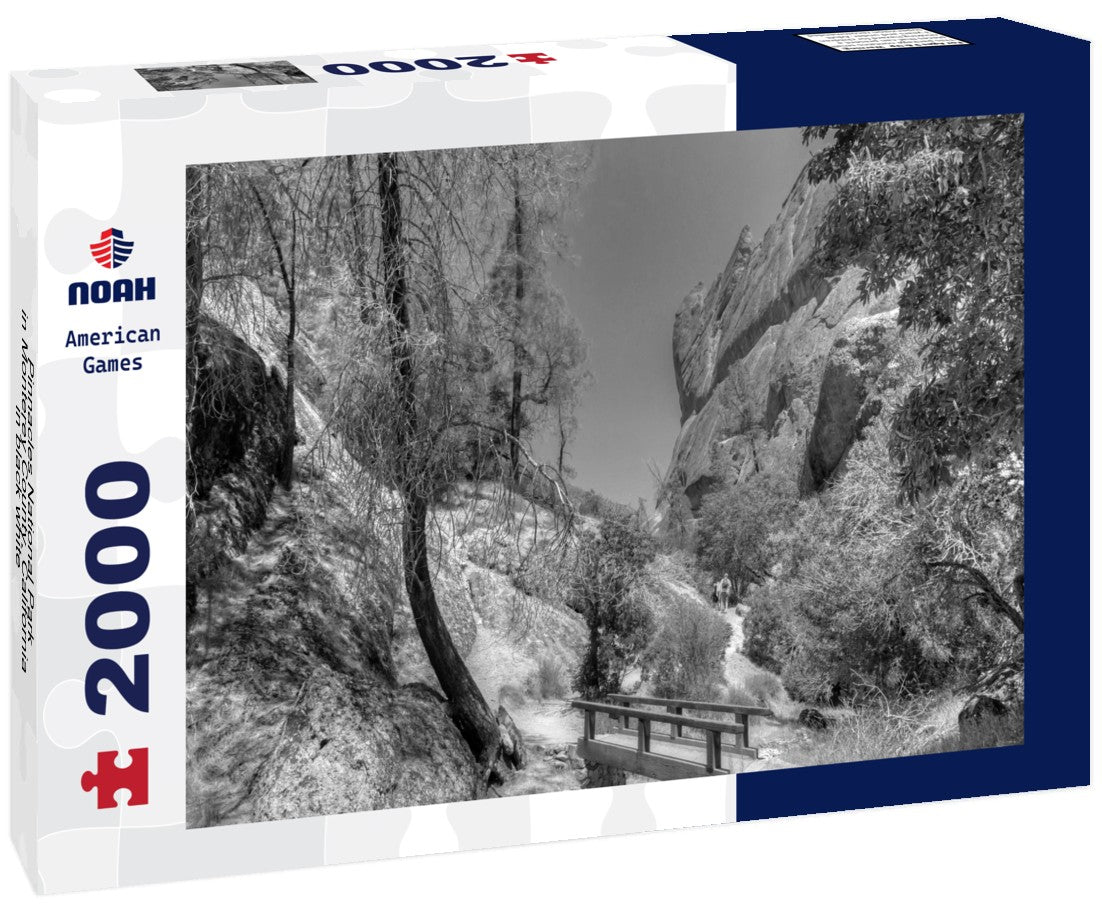 Noah Jigsaw Puzzle Pinnacles National Park in Monterey County, California in black white 2000 pieces