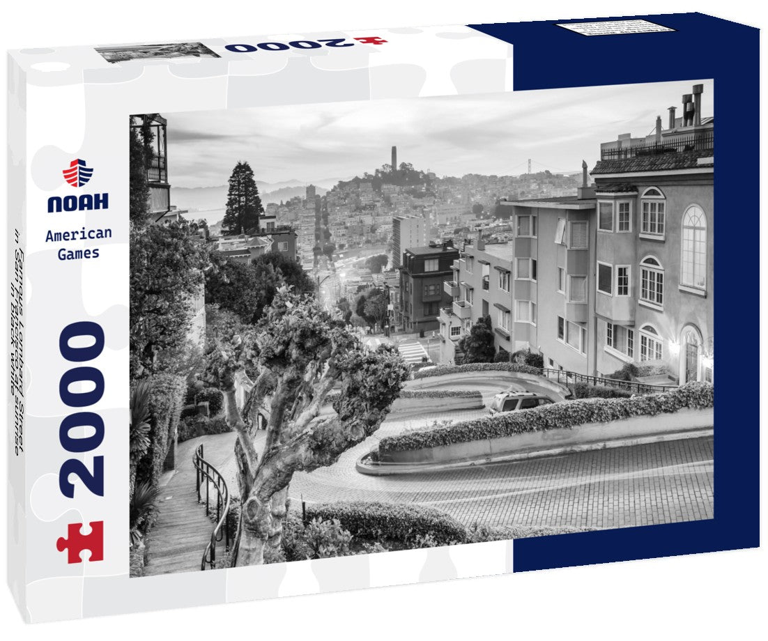 Noah Jigsaw Puzzle Famous Lombard Street in San Francisco at sunrise in black white 2000 pieces