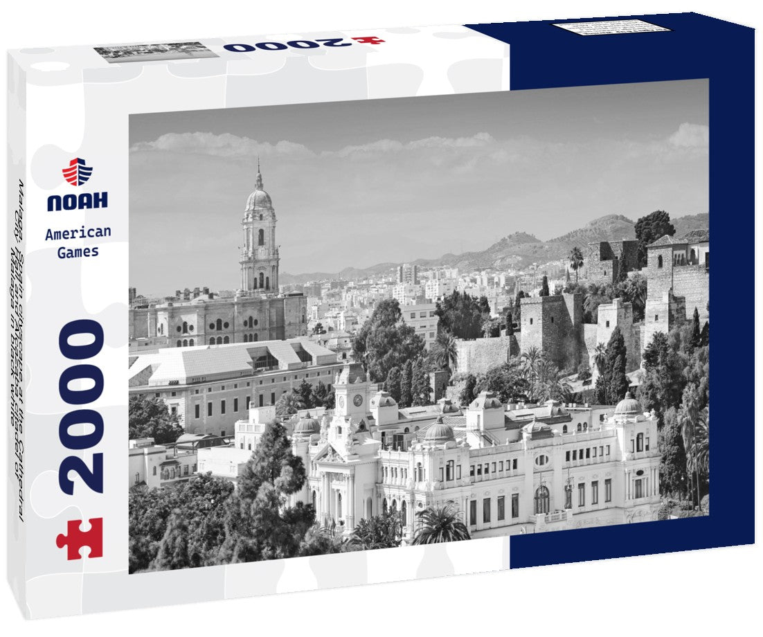 Noah Jigsaw Puzzle Malaga, Spain cityscape at the Cathedral, City Hall and Alcazaba citadel of Malaga in black white 2000 pieces