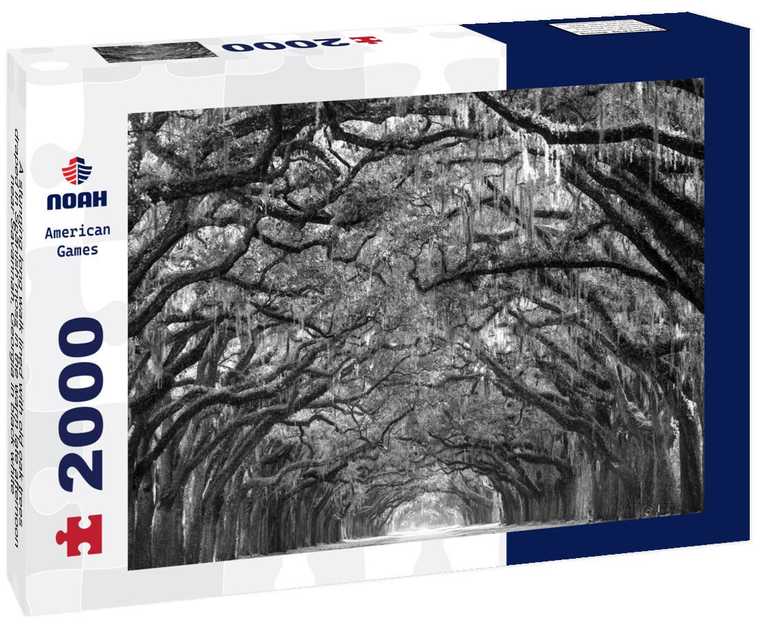 Noah Jigsaw Puzzle A stunning long walk lined with old oak trees draped in Spanish moss in the warm late afternoon near Savannah, Georgia in black white 2000 pieces