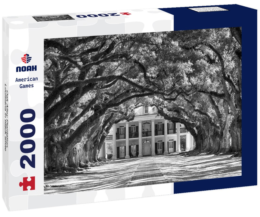 Noah Jigsaw Puzzle Oak Alley Plantation, Louisiana in black white 2000 pieces