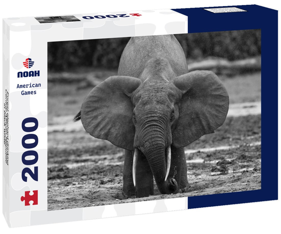 Noah Jigsaw Puzzle Forest elephant drinking, Central African Republic in black white 2000 pieces