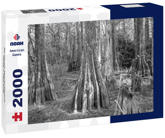 Noah Jigsaw Puzzle Big Cypress National Preserve Florida in black white 2000 pieces