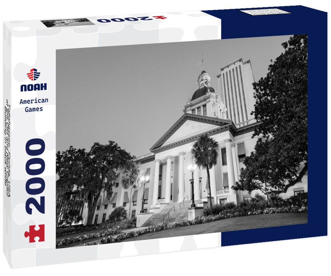 Noah Jigsaw Puzzle Tallahassee, Florida, USA at the Old and New Capitol Building in black white 2000 pieces