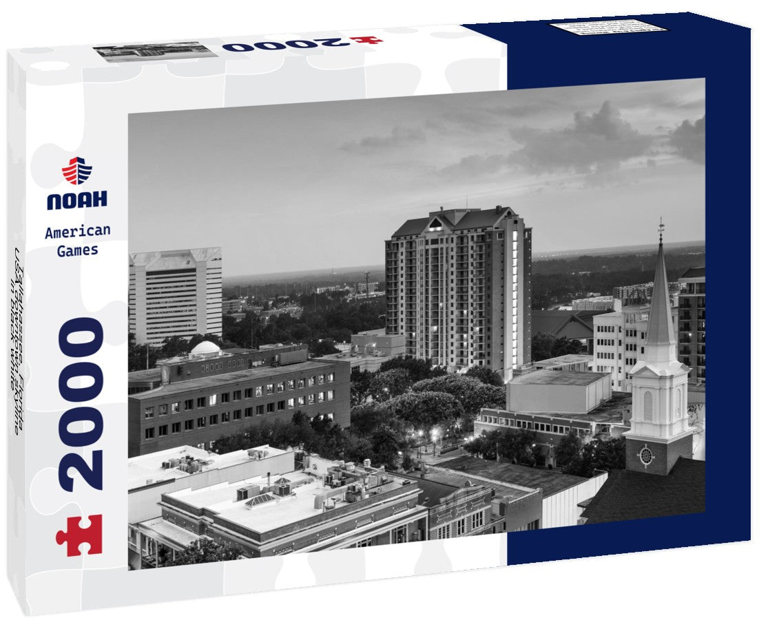 Noah Jigsaw Puzzle Tallahassee, Florida, USA downtown skyline in black white 2000 pieces