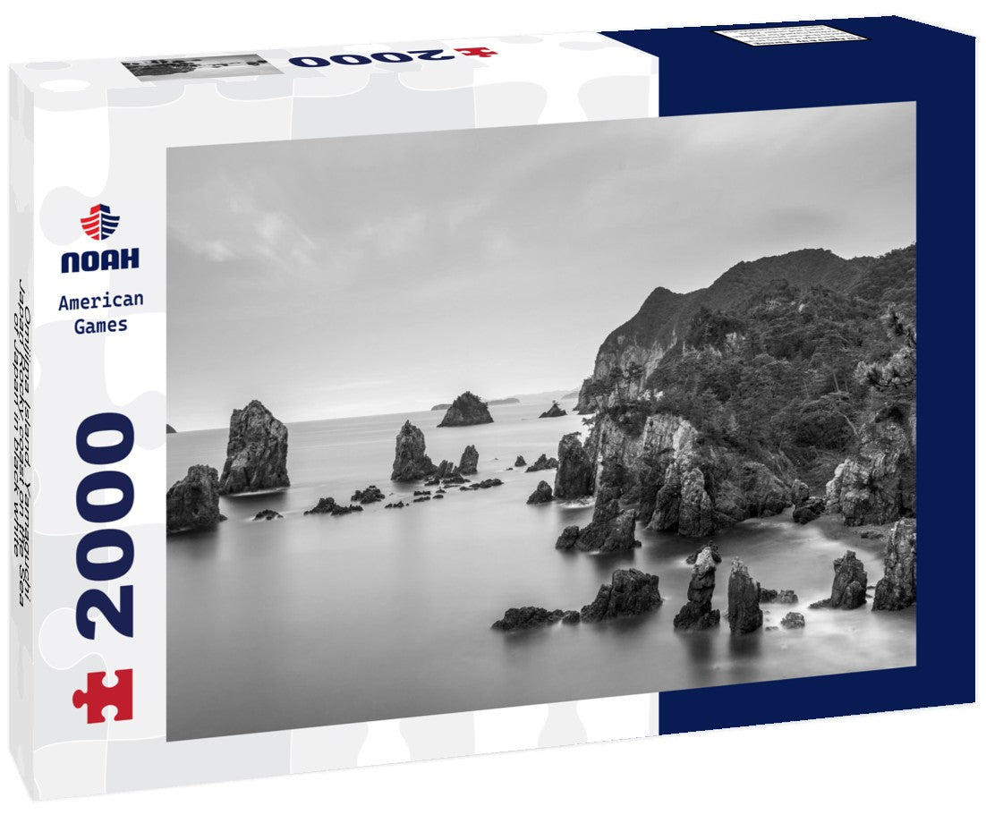 Noah Jigsaw Puzzle Omijima Island, Yamaguchi, Japan Rocky coast on the Sea of Japan in black white 2000 pieces