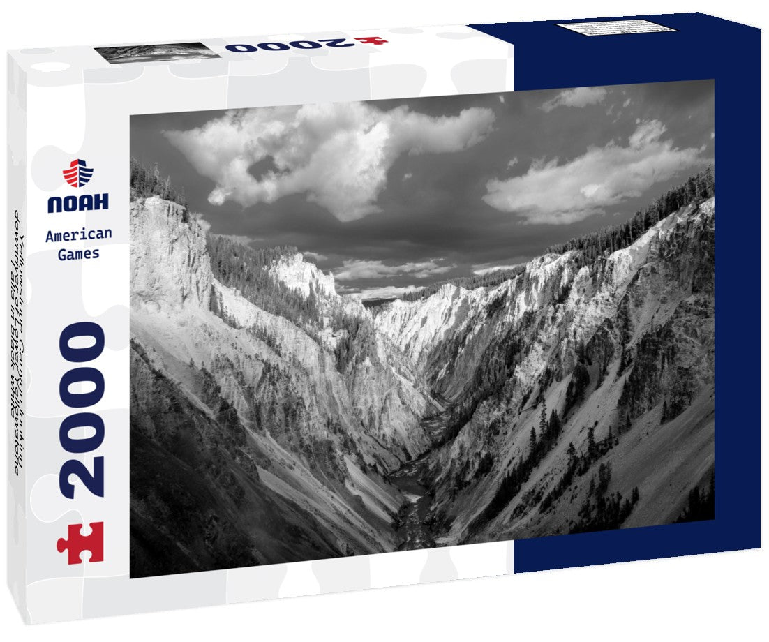 Noah Jigsaw Puzzle Yellowstone Canyon looking downriver of Lower Yellowstone Falls in black white 2000 pieces