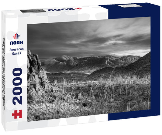 Noah Jigsaw Puzzle Breathtaking sunset in Big Bend National Park with bright orange ocotillo flowers in the foreground in black white 2000 pieces