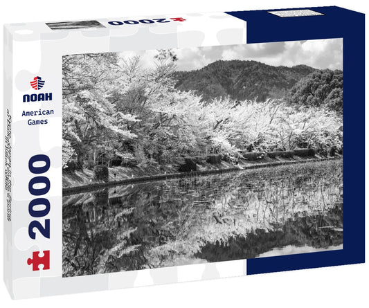Noah Jigsaw Puzzle Kyoto, Japan in the Spring at Daikaku-ji Temple's pond in black white 2000 pieces