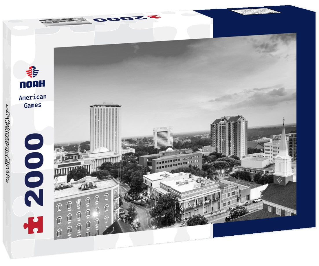 Noah Jigsaw Puzzle Tallahassee, Florida, USA downtown skyline in black white 2000 pieces