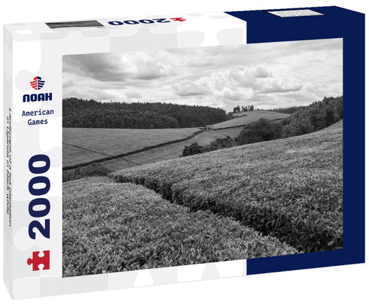 Noah Jigsaw Puzzle Landscape of a tea plantation in Uganda in black white 2000 pieces