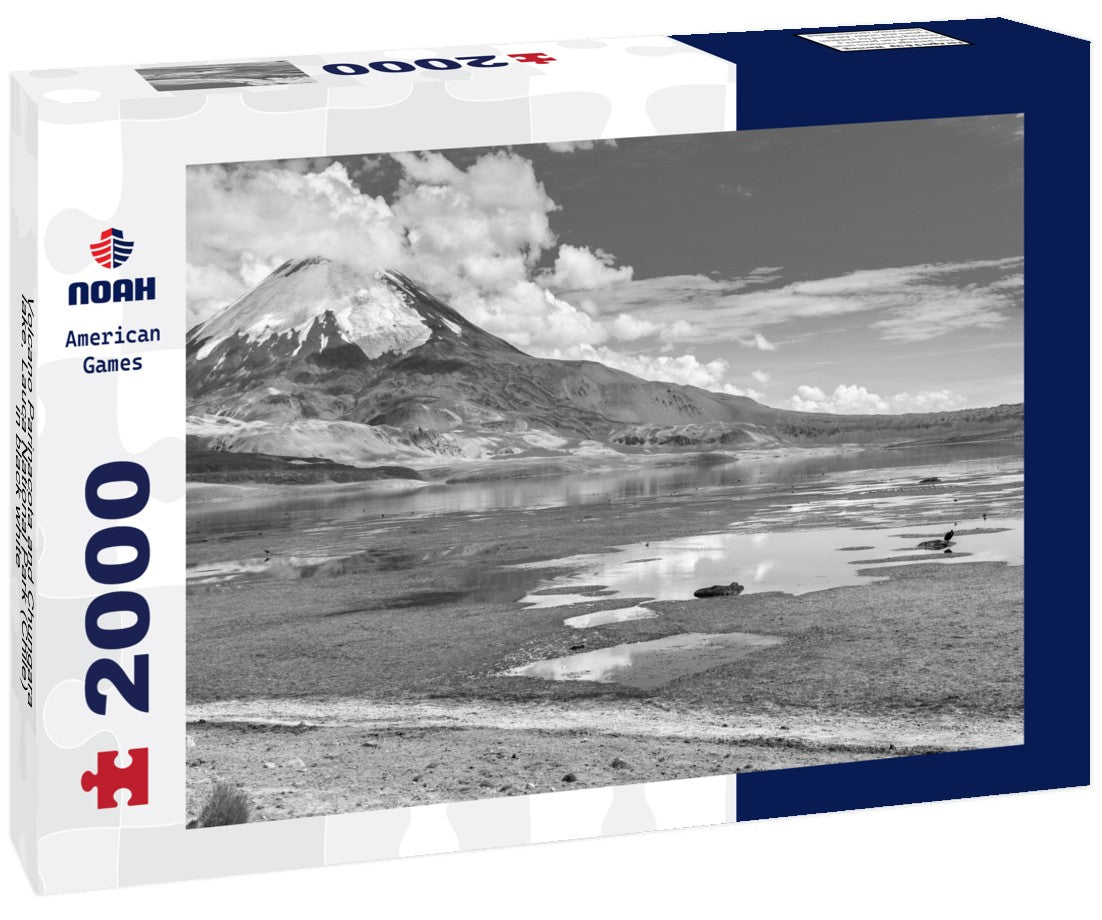 Noah Jigsaw Puzzle Volcano Parinacota and Chungara lake, Lauca National Park (Chile) in black white 2000 pieces