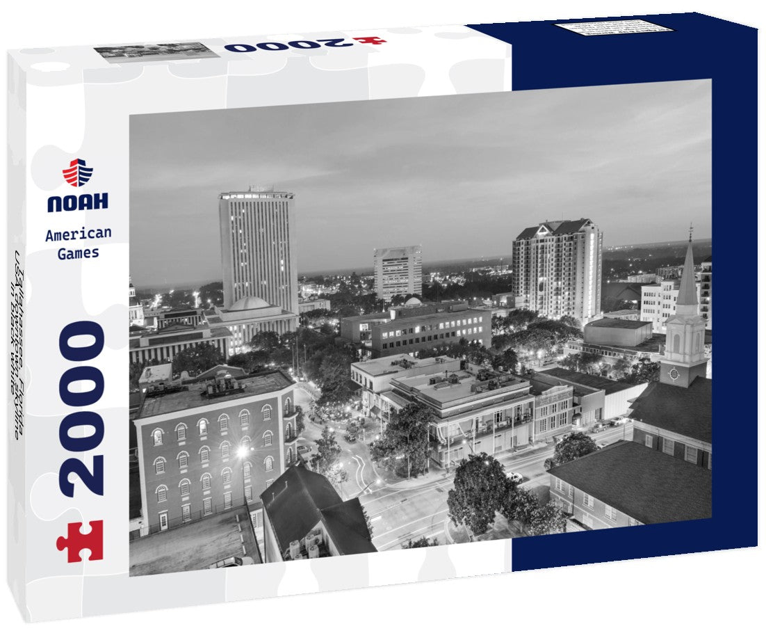 Noah Jigsaw Puzzle Tallahassee, Florida, USA downtown skyline in black white 2000 pieces