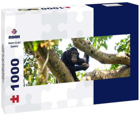 Noah Jigsaw Puzzle Chimp on the branch. Chimp in Budongo Forest Park. Safari in Uganda panorama 1000 pieces