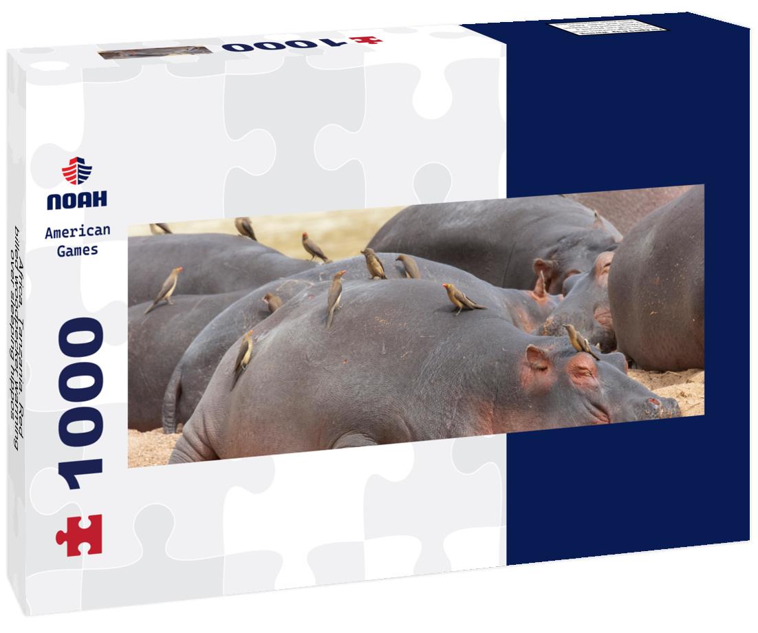 Noah Jigsaw Puzzle Africa, Tanzania. Red-billed woodpecker warming over sleeping hippos panorama 1000 pieces