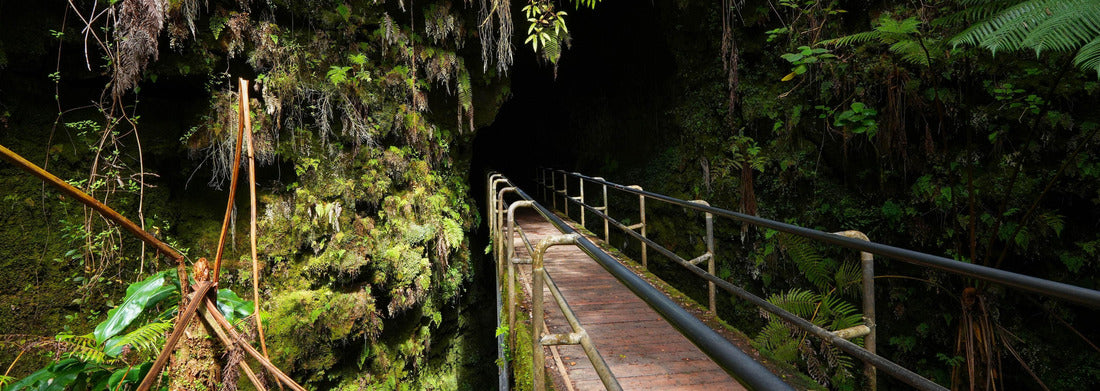 Noah Jigsaw Puzzle Bridge surrounded by ferns leading into the Thurston lava tube in the Kilauea crater in the Hawaiian Volcanoes National Park on the Big Island of Hawai'i in the Pacific Ocean panorama 1000 pieces