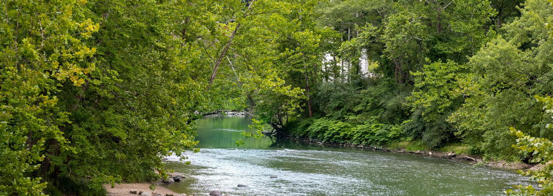 Noah Jigsaw Puzzle Lush green trees by the Cuyahoga riverside at Cuyahoga valley national park, Ohio panorama 1000 pieces
