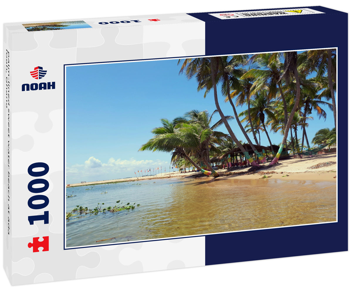 palm-lined sweet water beach at ada foah, Ghana