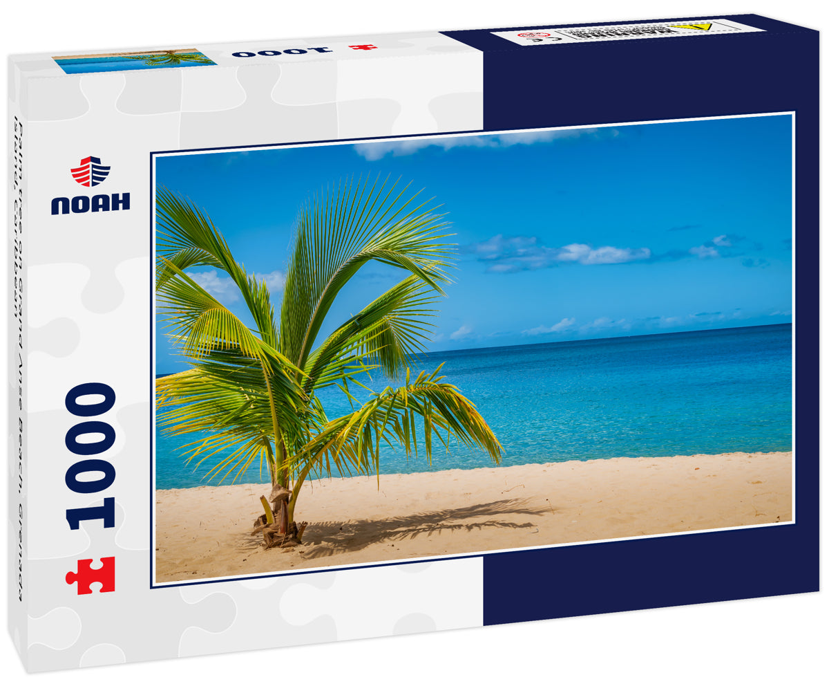 Palm tree on Grand Anse Beach, Grenada Island, Caribbean