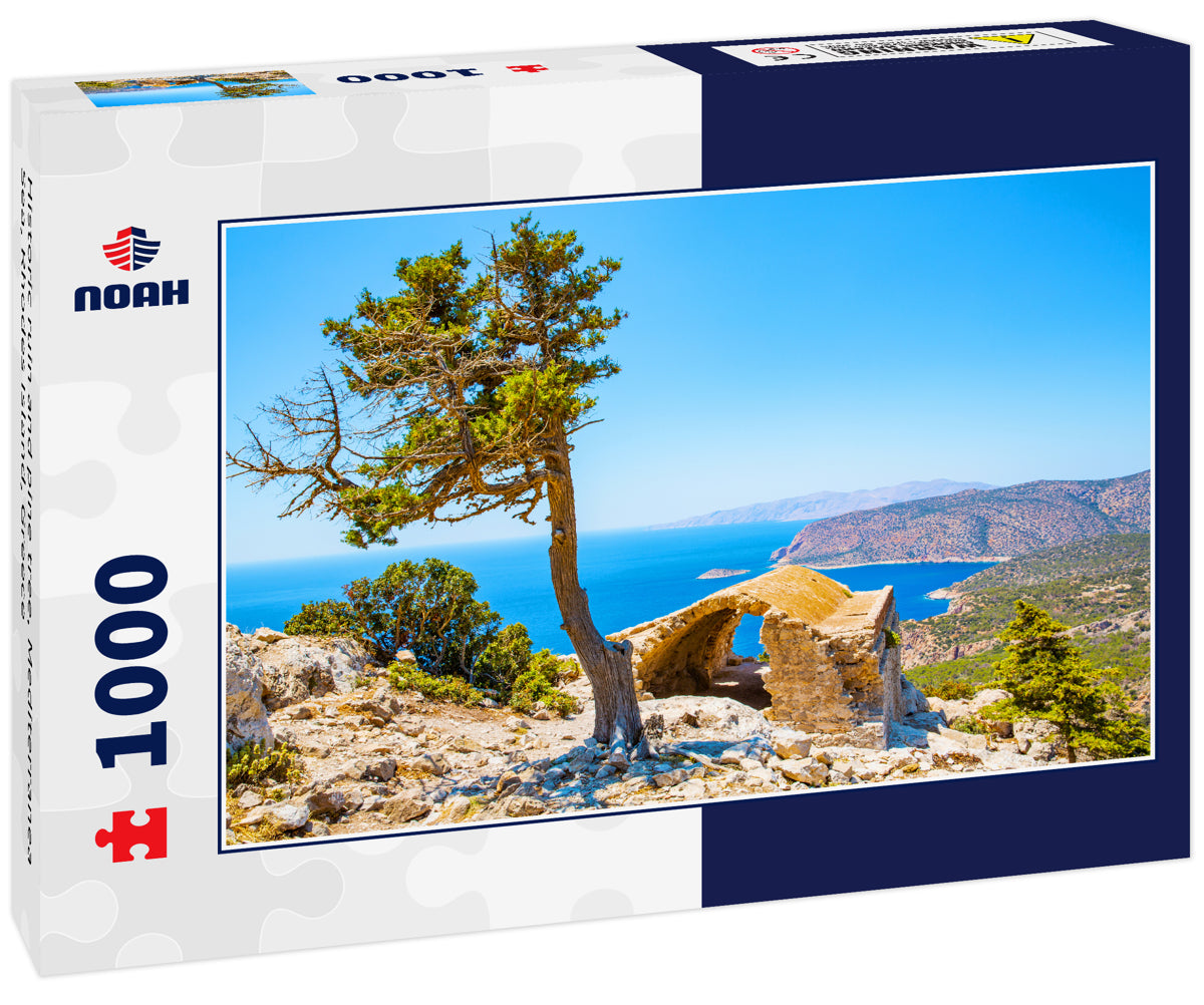 Historic ruin and pine tree, Mediterranea Sea, Rhodes Island, Greece