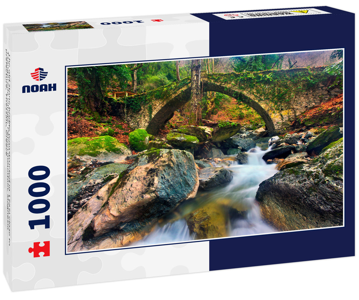 The old stone bridge (constructed in 1787) close to Tsangarada village, Pelion mountain, Magnesia prefecture, Thessaly, Greece