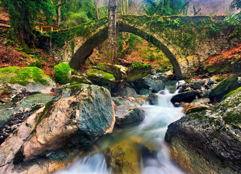 The old stone bridge (constructed in 1787) close to Tsangarada village, Pelion mountain, Magnesia prefecture, Thessaly, Greece